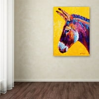 Védjegy Szépművészet 'Donkey Portré III' vászon művészete: Marion Rose