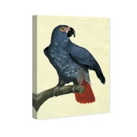 Wynwood Studio Animals Wall Art vászon nyomatok 'papagáj' madarak - kék, sárga