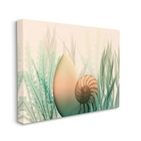 Stupell Home Dekor Ocean SeaShell tengeri moszat kollázs -tervezés vászon fali művészet, Albert Koetsier