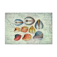 Cora Niele 'Seashells a Map -on II' vászon művészet