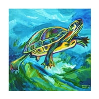 Robert Phelps Art 'Slider Turtle 3' vászon művészet