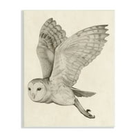 Stupell Industries Repülő Barn Owl Wings Részletes monokróm rajz Wood Wall Art, 15, Design by Grace Popp