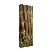 A Suzanne Wilkins, a Bamboo Finale I 'vászon művészete