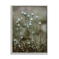 Stupell Industries Serene White Floral Izzó Woodland Photography szürke keretes művészeti nyomtatási fal művészet, 24x30