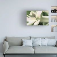Eva Bane 'vázlatos frangipani virág 04' vászon művészet