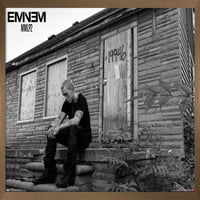 Eminem - LP Wall poszter, 22.375 34