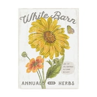 Védjegy Szépművészet 'Fehér Barn Flowers i' Canvas Art készítette: Sue Schlabach