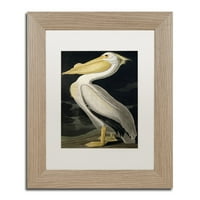 Védjegy Szépművészet '' American White Pelican '', John James Audubon 16 20 White Matted Wood Frame