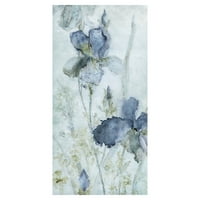 Remekmű művészeti galéria Morning Iris Blue, Carol Robinson Canvas Art Print 17 34