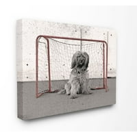 Stupell Industries Hockey Couse Sports Dog Pet Animal Collage Design Design Vászon Wall Art készítette: Daphne Polselli