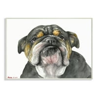 Stupell Industries Chubby Bulldog Portré Old Dog Charm Black Brown Wall Plakque, 19., George Dyachenko tervezése