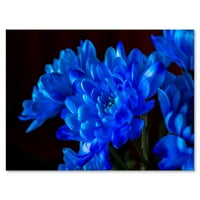 Designart 'Blue Chrysanthemum virágok fekete háttérben' Hagyományos vászon fali művészet