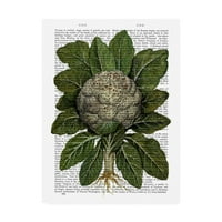 Védjegy Képzőművészeti „Karfiolkönyv„ vászonművészete: Fab Funky