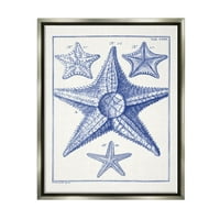Stupell Industries Részletes tengeri csillagok tanulmányozása Grafikus Art Luster szürke úszó keretes vászon nyomtatott fali