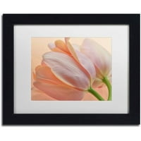 Védjegy Szépművészet „Két narancssárga tulipán” vászon művészete: Cora Niele, White Matte, Fekete Frame