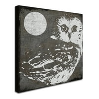 Védjegy Képzőművészet Owl 3 vászon művészet, Color Bakery
