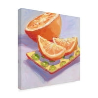 Carol Young 'még Citrus III' vászon művészet