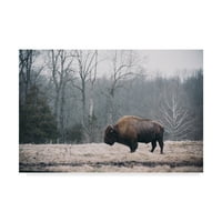 Védjegy Képzőművészet 'Magányos Bison I' Canvas Art készítette: Adam Mead