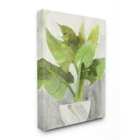 Stupell Industries zöld nagy növényi fehér ültetvényes beltéri otthoni festmény vászon fali művészet, Albena Hristova, 36 48