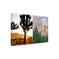 Joseph S Giacalone 'Joshua Tree & Yosemite Diptych 2' Canvas Art