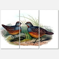 Designart 'ősi madarak a vadonban vii' hagyományos vászon fali művészet nyomtatás
