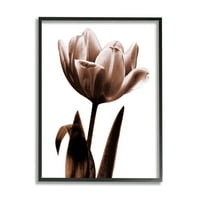 Stupell virágzó tulipos sziluett botanikus és virágfotózás fekete keretes művészet nyomtatott fali művészet