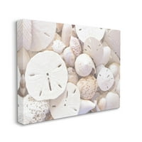 Fehér vegyes homokdollár kagylók tengerparti fotógaléria csomagolt vászon nyomtatott fal művészet