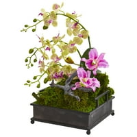 Szinte természetes vegyes orchidea mesterséges elrendezés a dekoratív tálcában