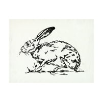 Emma Caroline 'Resting Hare I' vászon művészet