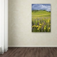 Védjegy Szépművészet Hillside Bloom Canvas Art készítette Michael Blanchette Photography