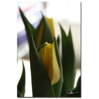 Védjegy Képzőművészet Tulips VI Canvas Art készítette: Martha Guerra, 16x24