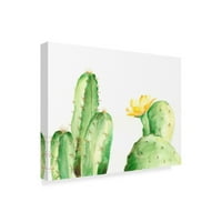 Védjegy Szépművészeti „Spyy Desert Plants II” vászon művészete, Regina Moore