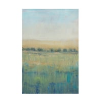 Tim o Toole 'Open Meadow View I' Canvas Art