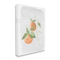 Stupell Industries Orange Branch Fruits Puha levelek akvarell festmény, 20, Lucille tervezése