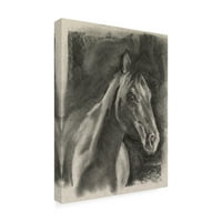Jennifer Paxton Parker 'faszén ló tanulmány a Grey i' Canvas Art -ról