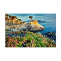 Dennis Frates 'Sea Grass 4' Canvas Art