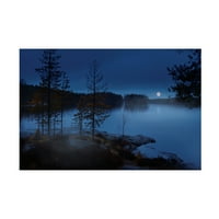 Nikki Georgieva v 'Night Mist' Canvas Art