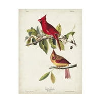 John James Audubon 'Grosbeak bíboros' vászon művészete