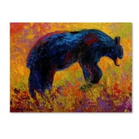 Védjegy Képzőművészet „Fiatal kalandor fekete medve” vászon művészete: Marion Rose