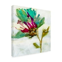 Jennifer Goldberger 'Fuchsia Splash II' Canvas Art