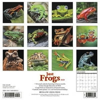 Willow Creek Press Frogs fali naptár