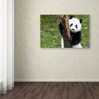 Védjegy Szépművészet Óriás Panda VI Canvas Art készítette: Philippe Hugonnard