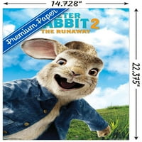 Peter Rabbit - közeli fali poszter, 14.725 22.375