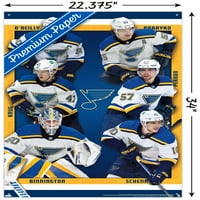 St. Louis Blues - Team fali poszter pushpins, 22.375 34