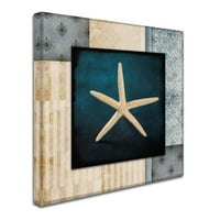 A LightBoxJournal védjegye képzőművészet 'Blue Sea Starfish' vászon művészete
