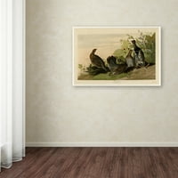 Védjegy Képzőművészet 'Foltos Grouse Plate 176' Canvas Art készítette: Audubon