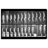 Wynwood Studio Classic és Figurative Wall Art Canvas nyomtatványok „Muybridge's Woman Walking” meztelenek - fekete, fehér