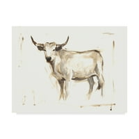 Védjegy képzőművészet 'fehér szarvasmarha II' vászon művészet Ethan Harper