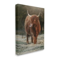 Stupell Highland Szarvasmarha Parasztház Ország Állat Állatok És Rovarok Fotógaléria Csomagolva Vászon Nyomtatás Fal Művészet