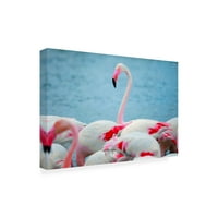 Ben Heine 'A Flamingos 4' Canvas művészete